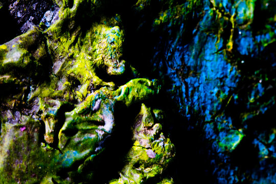 old dried paint