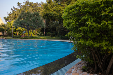 Blue water swimming pool surrounded by green trees
