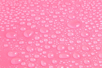 Close up water drops on pink background, Water drop in macro photography