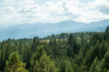 Obraz premium Mountain views, pine tree forest, green nature, cloudy sky, Balkans,, Bulgaria, eastern europe