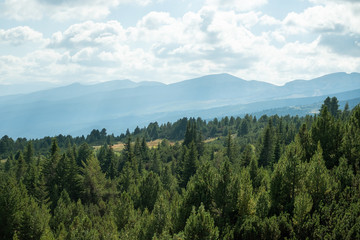 Mountain views, pine tree forest, green nature, cloudy sky, Balkans,, Bulgaria, eastern europe