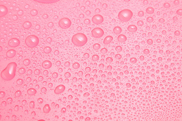 Close up water drops on pink background, Water drop in macro photography