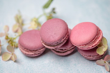 pink macaroons on a blue background with flowers