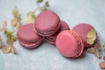 pink macaroons on a blue background with flowers