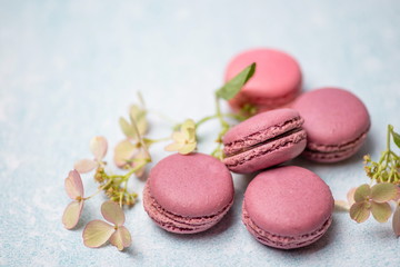 pink macaroons on a blue background with flowers