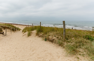 sandy path leads to an wild beach