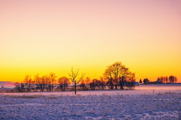 Wintry daybreak with fog on the fields