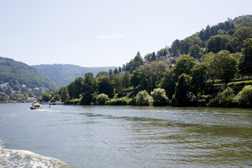 weitblick auf die natur am neckar in heidelberg deutschland fotografiert während einer  schiffstour an einem sonnigen Tag im Sommer