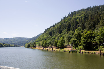Fototapeta premium blick auf einen hügel mit wald am neckar in heidelberg deutschland fotografiert während einer schiffstour an einem sonnigen Tag im Sommer