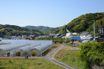 鯉のぼりの季節