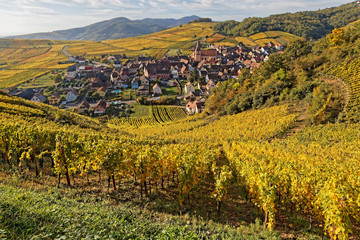 Fototapeta na wymiar The village of Niedermorschwihr in its vineyards landscape