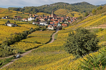 Fototapeta na wymiar The village of Niedermorschwihr in its vineyards landscape