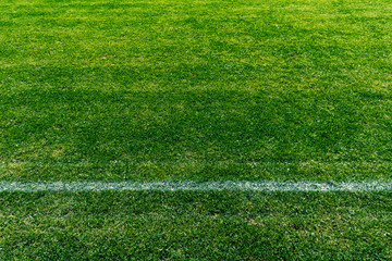 Detail of a soccer field with white line