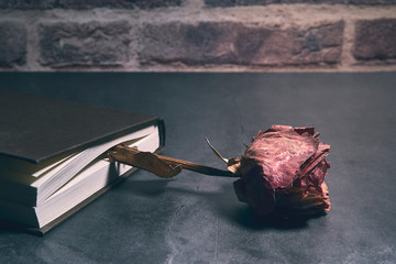book with a dry red rose between its pages. horizontal