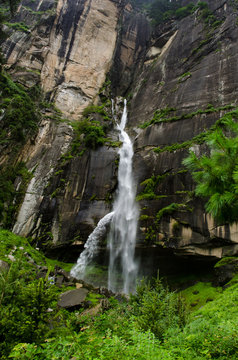 waterfall in deep forest © Gayle Lawrence