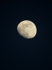 Obraz premium moon in the sky