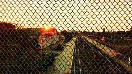 autumn leaves on a white background
