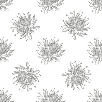 Hand drawn blue agave seamless pattern. Succulent plants wallpaper. Engraving vintage style.
