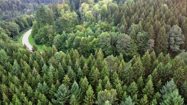 Feld, Wald und Wiesen - Kameraflug