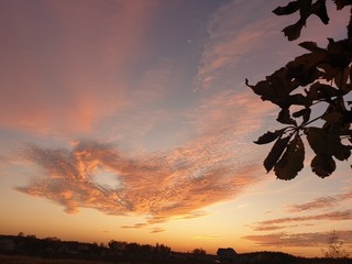 wonderful world around us