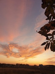 wonderful world around us