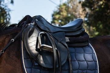 A saddle saddled on the back of a sport horse