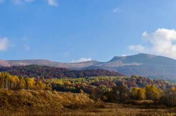 Tarnica Bieszczady