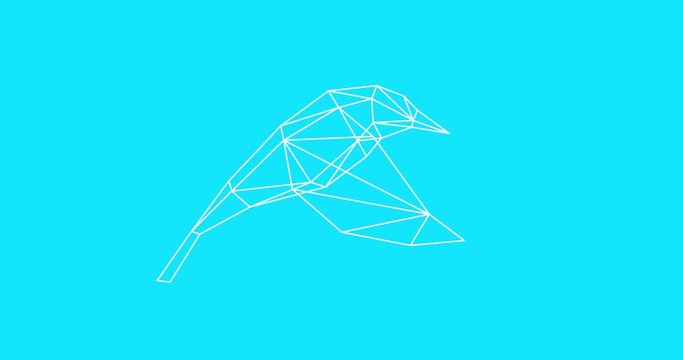 Modern animation art. A low polygonal bird in flight. 2d motion