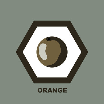 Vector illustration. Orange icon in gray tones.