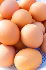 Raw eggs on local market close up