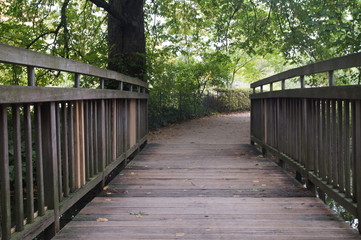 Obraz premium nature