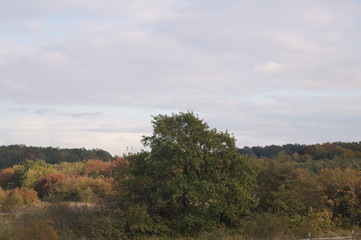 Obraz premium nature