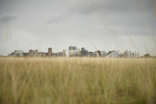 Amazing landscape with &Oslash;restad in the background Amager F&aelig;lled, Copenhagen, Denmark, Amager  Amazing Gradient Colours  background with copy space for text or image poster flyer explainer 