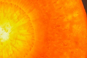 Photo sur Plexiglas Photographie macro Coup de macro ensoleillé de carotte fraîche. Arrière-plan détaillé avec fibres, texture et translucidité améliorées.