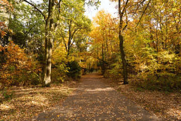 Park jesienią