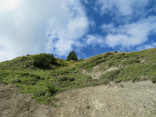 Bergweg Allgäu