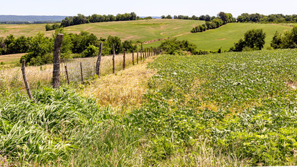 Fototapeta na wymiar landscape with a fenceline and farm fields