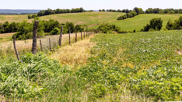 landscape with a fenceline and farm fields