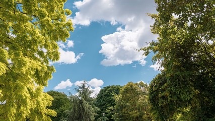 Obraz premium Jardin des Champs-Elysées, Paris, France 