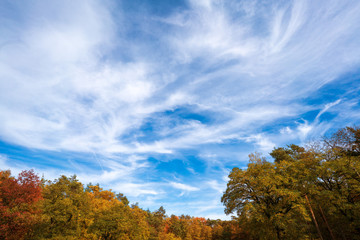 Naklejka premium Jesienny krajobraz z pięknym niebem