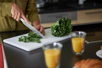 Lady is cooking dinner in the kitchen