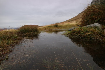 mountain top  in the morning