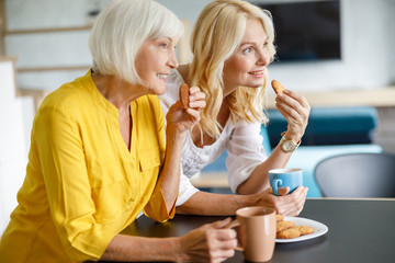Obraz na płótnie Canvas Beautiful adult women are tasting cookies at home