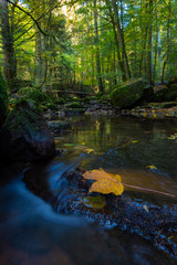 Mohnbachtal im Herbst