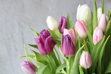 Bunch of tulip, bouquet of flowers for mothers day card, Easter or woman's day. Spring tulips on grey background.