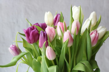 Bunch of tulip, bouquet of flowers for mothers day card, Easter or woman's day. Spring tulips on grey background.