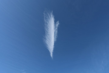 Lonely cirrus cloud in the blue sky