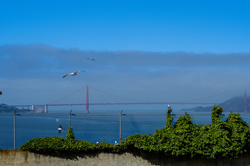 View from Alcatraz to golden gate bridge