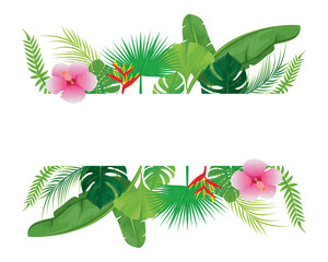 Fototapeta premium white card with many leaves vector design