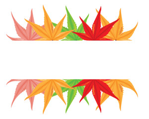colourful leaves vector design